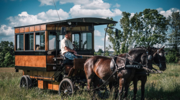 Različni modeli e-kočij